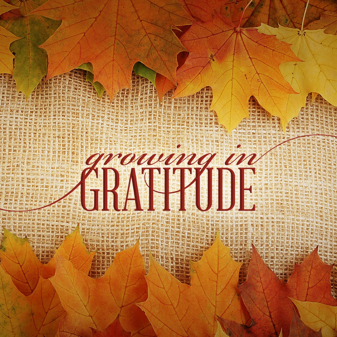 Growing In Gratitude sermon series logo.