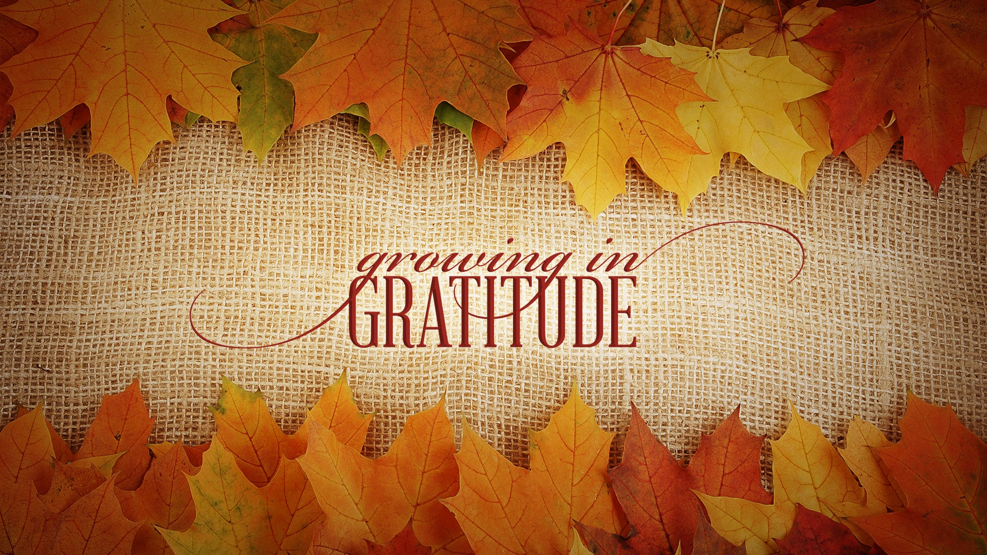 Growing In Gratitude sermon series logo.